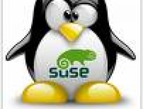 Enabling Write support for all users in SUSE 11